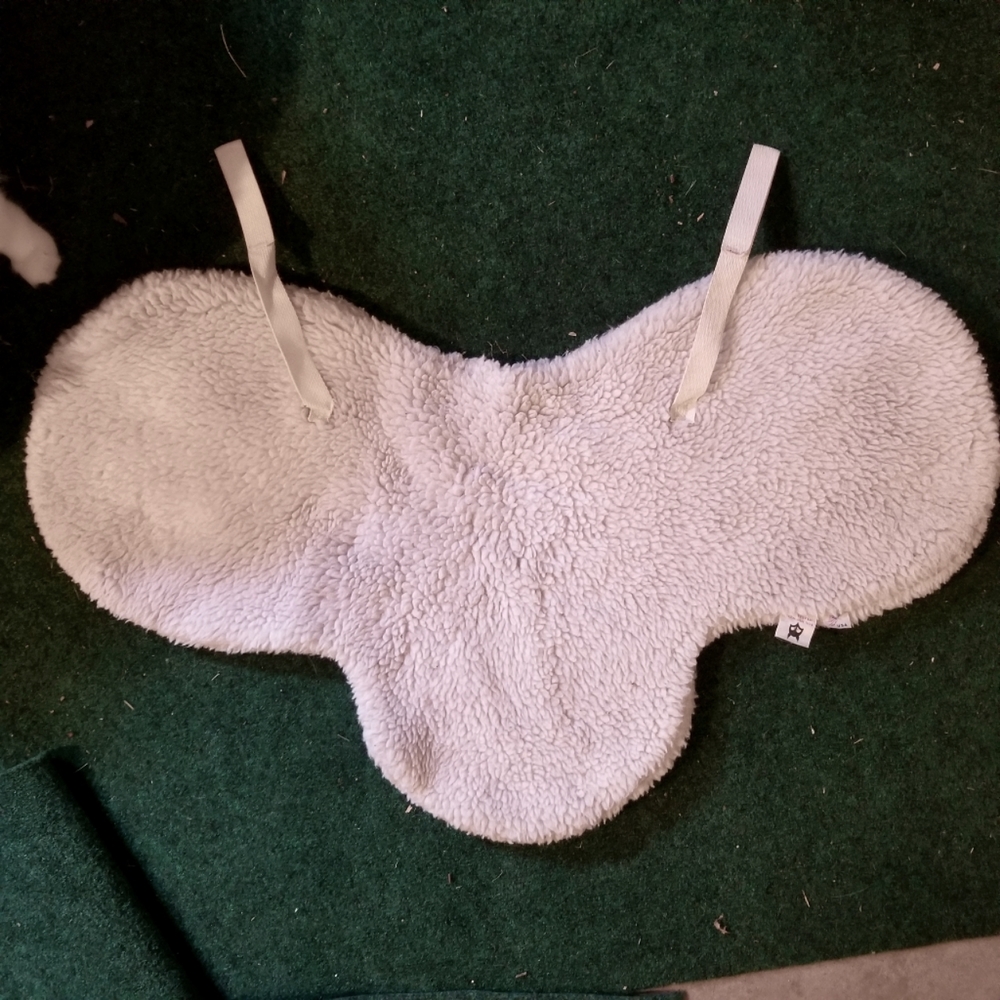 english saddle pad show pad horse pony white
